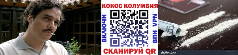 где найти   Сенгилей  КОКАИН Колумбийский 