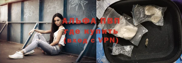 apvp Гусев