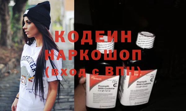apvp Гусев