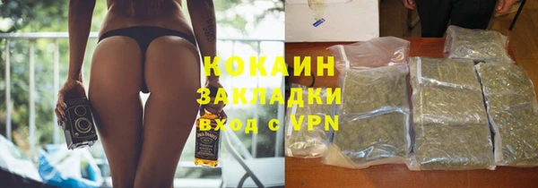 apvp Гусев