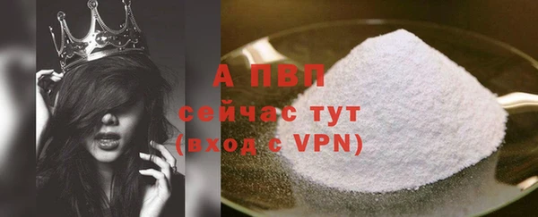 apvp Гусев
