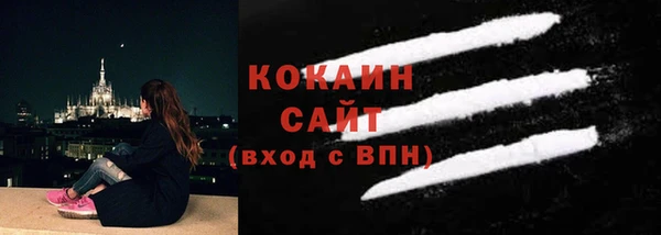 твердый Дмитровск