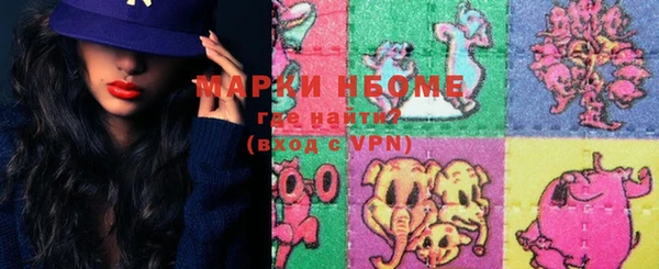 твердый Дмитровск