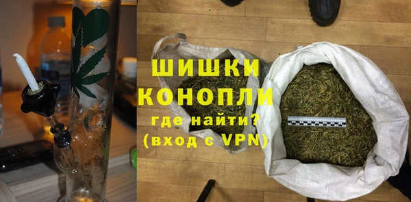твердый Дмитровск