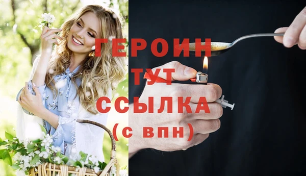 твердый Дмитровск