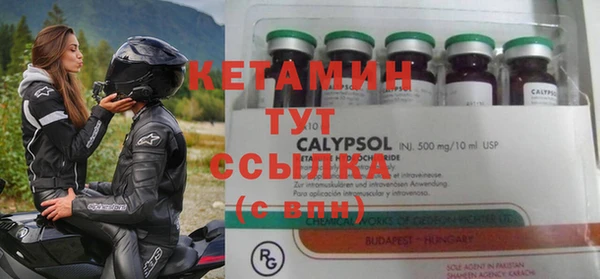 apvp Гусев